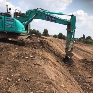 holly_lane holly lane